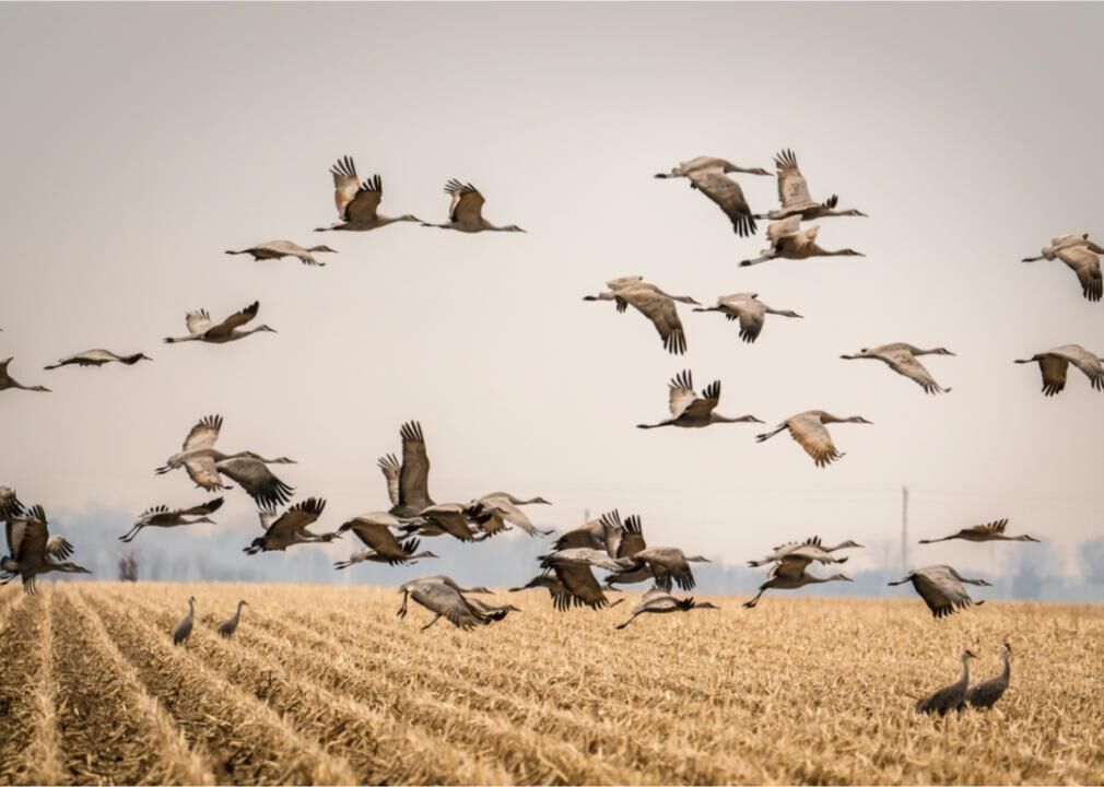 Nebraska